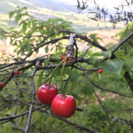 Ferienhaus Corte 40 Negrar