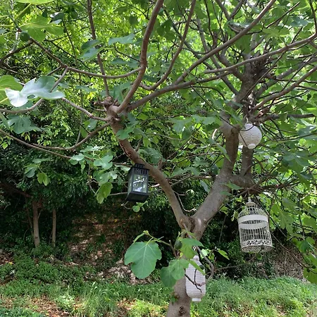 Corte 40 Ferienhaus *